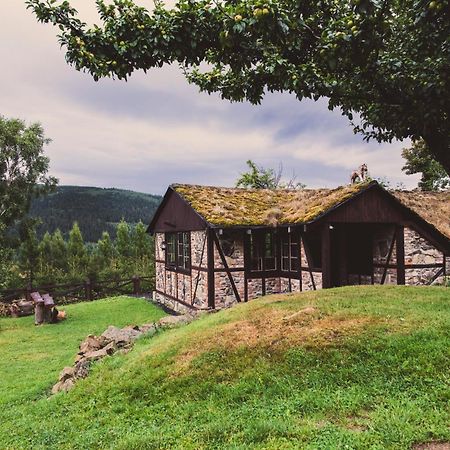 Willa Z Gwarantowanym Widokiem Na Gory Aleksander Panorama Świeradów-Zdrój 외부 사진