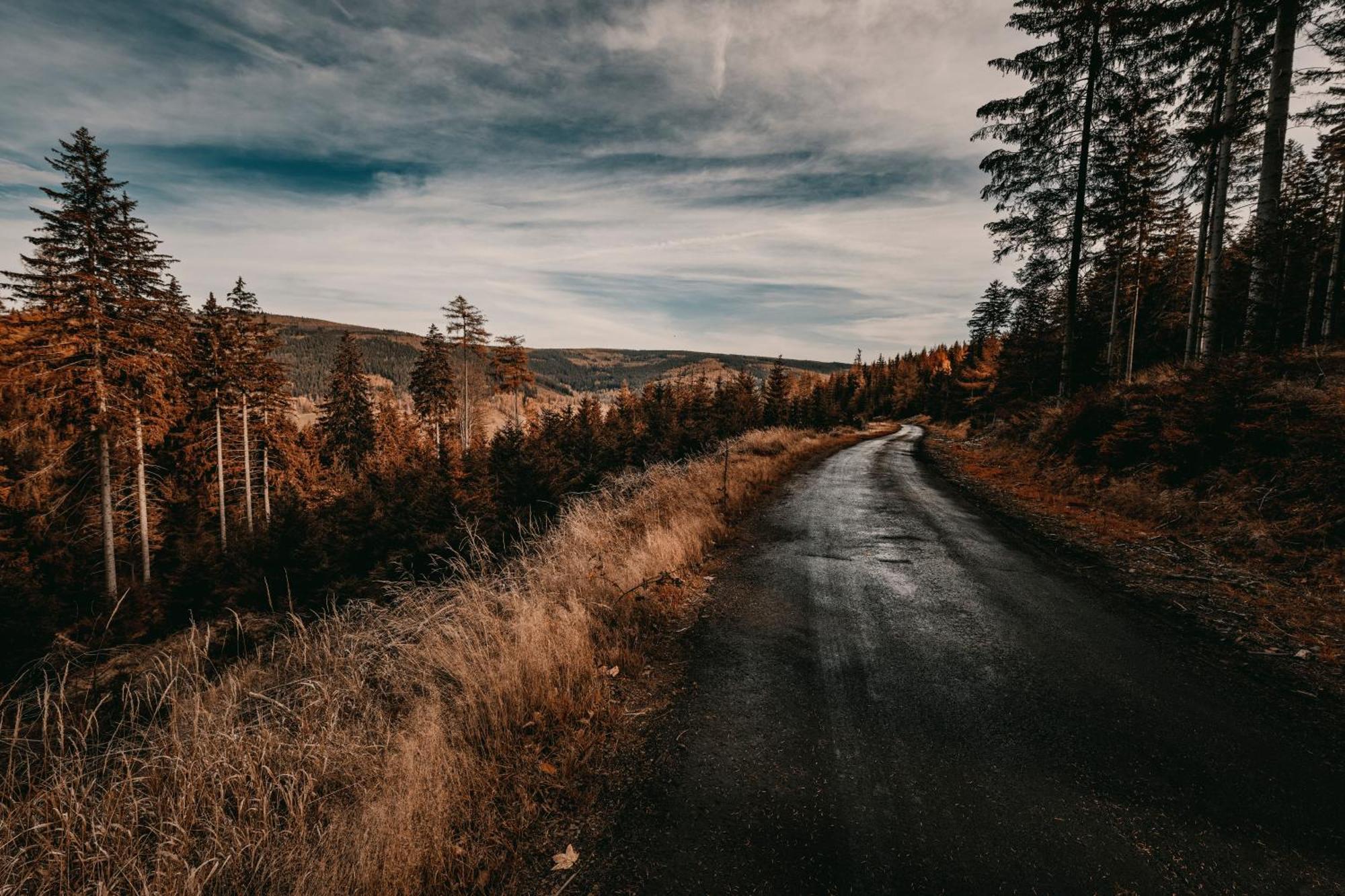 Willa Z Gwarantowanym Widokiem Na Gory Aleksander Panorama Świeradów-Zdrój 외부 사진